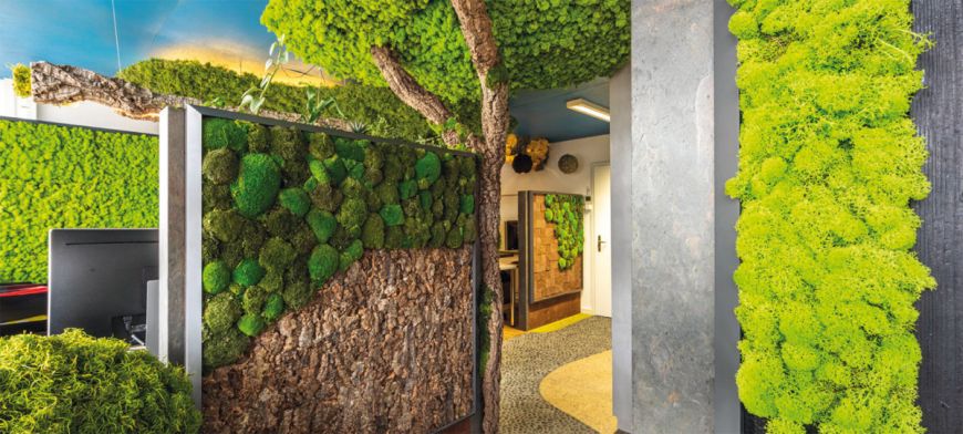 biophilic design